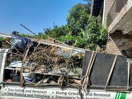 Best Furniture Removal  in Grand Ledge, MI